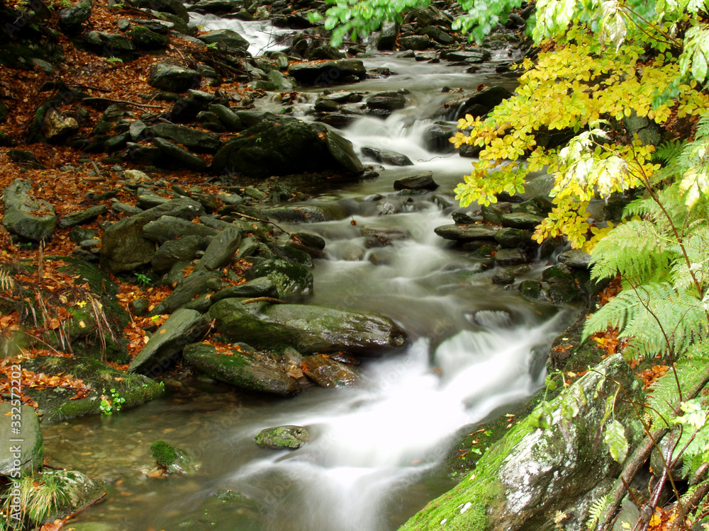 A river stream of water jumps over rocks. Moody autumn photo. A river stream of water jumps over rocks. Moody autumn photo.