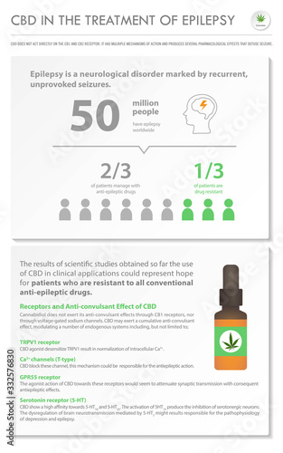 CBD in the Treatment of Epilepsy vertical business infographic illustration about cannabis as herbal alternative medicine and chemical therapy, healthcare and medical vector.