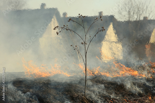 Fotografie, Obraz fire in the field / fire in the dry grass, burning straw, element, nature landsc