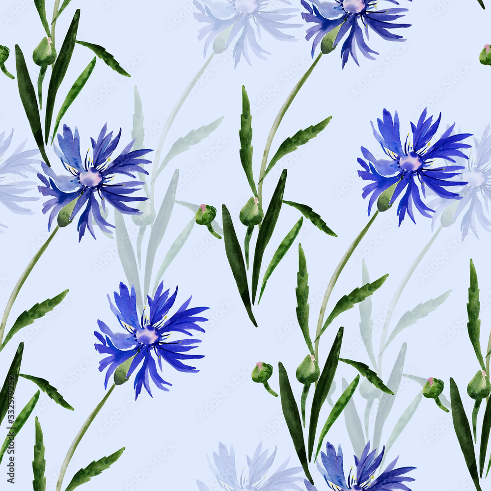 Watercolor illustration of a bouquet of wildflowers, cornflowers on a colored background