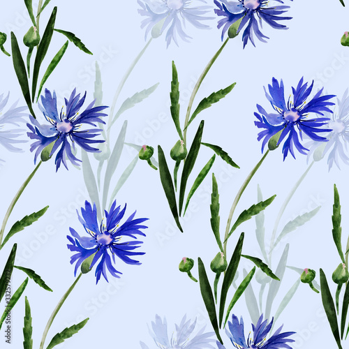 Watercolor illustration of a bouquet of wildflowers  cornflowers on a colored background