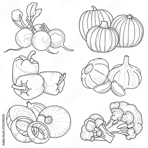Set of hand drawing vegetables; doodle vegetables for stickers, posters, web design. Black and white vector illustration.