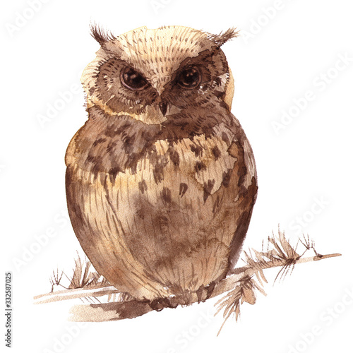 watercolor owl
