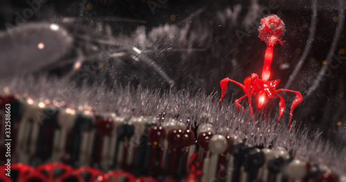 Fotografie Bacteriophage or phage virus attacking and infecting a bacteria, antibiotic alte