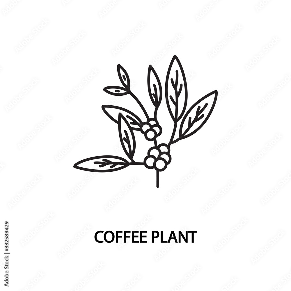 Coffee plant line flat vector icon. Concept for online store or web banners and printed materials. Editable strokes. Coffee plant line flat vector icon. Concept for online store or web banners and printed materials. Editable strokes.