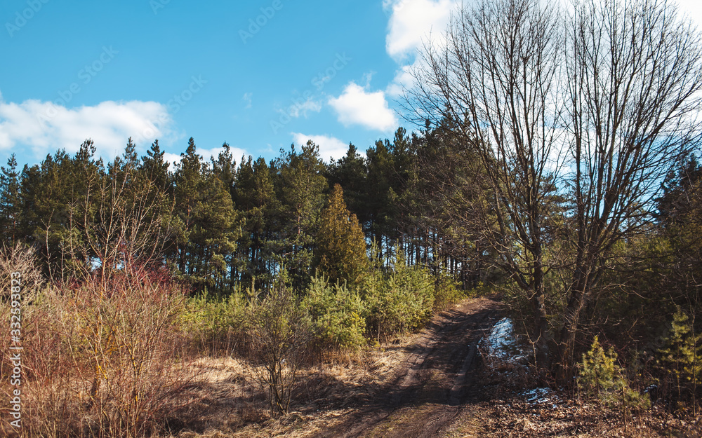 tree leaves grass flowers sky spring nature tree leaves grass flowers sky spring nature