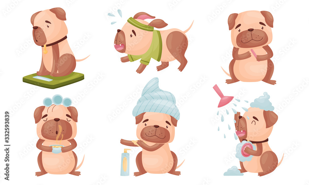 Fototapeta premium Cartoon Puppy Grooming Himself Applying Body Cream and Drinking Hot Herbal Tea Vector Set
