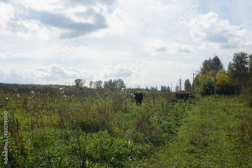 field