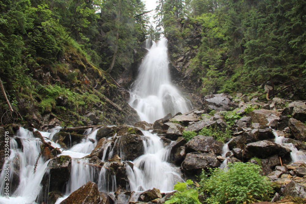 Fototapeta premium waterfall in forest