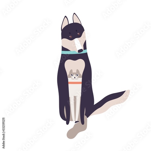 Friendly cat and dog hugging sitting together isolated on white background. T...