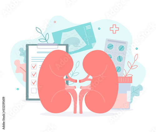 The health of the kidneys. Urine analysis and kidney ultrasound. Medical concept. Flat vector illustration.