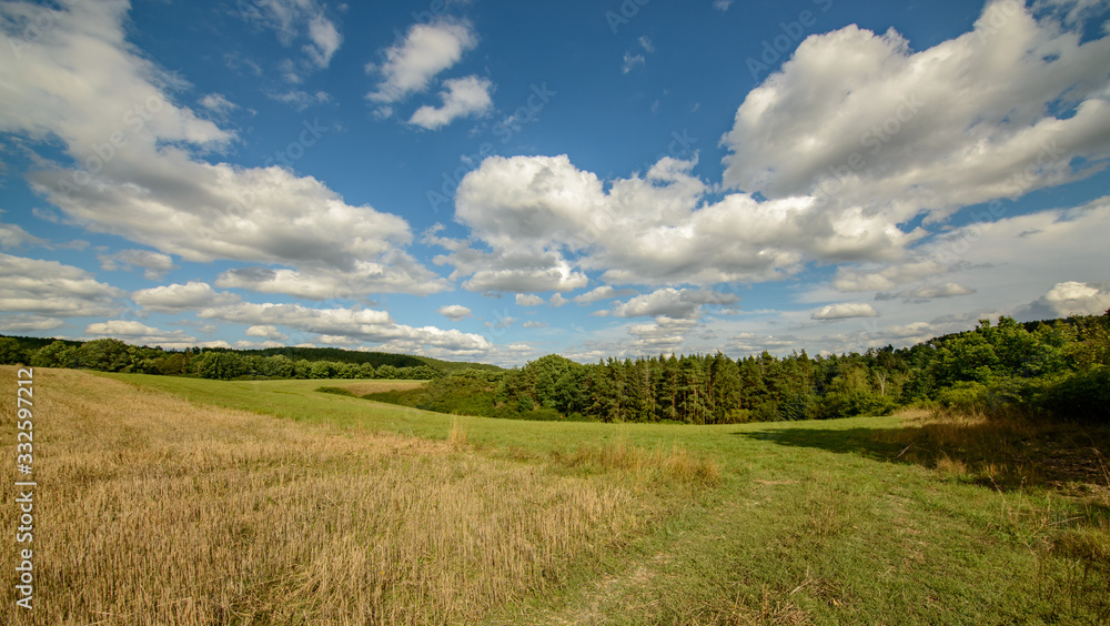land view in small valley with field, meadow, forest and blue cloudy sky