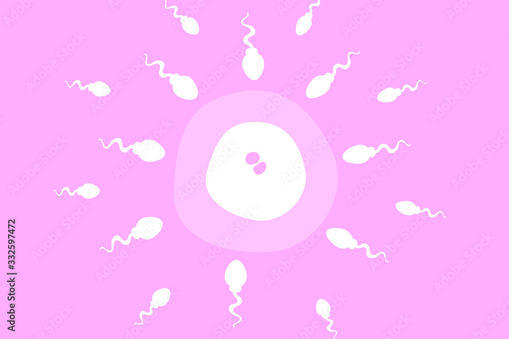 Sperm and egg vector for IVF concept illustration. Sperm and egg vector for IVF concept illustration.