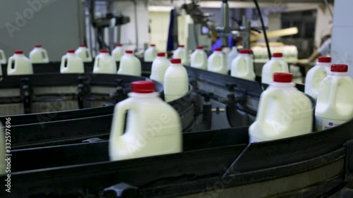 Automatic conveyor with bottles at the milk factory