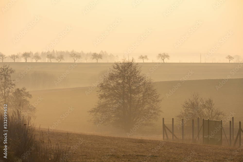 Fototapeta premium fall spring and foggy landscape with a tree silhouette on a fog at sunrise, Puklice Vysocina. Europe Czech Republic countryside