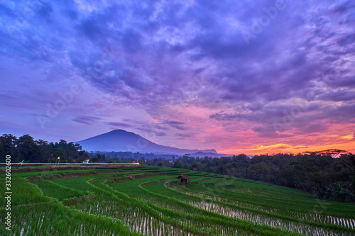 Beautiful rice field under the cloudy sunset