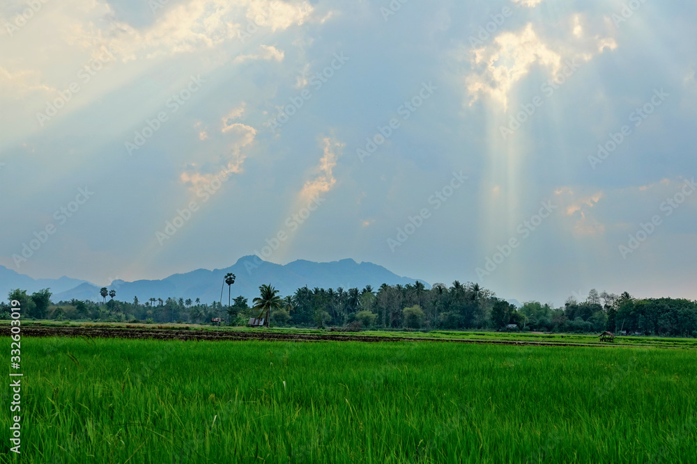 Thailand landscape near national park Phu Pha Man