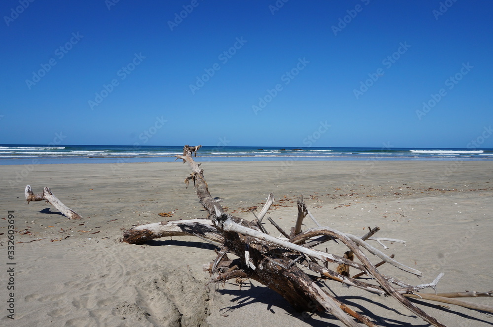 Costa Rica - Playa Grande - Treibholz