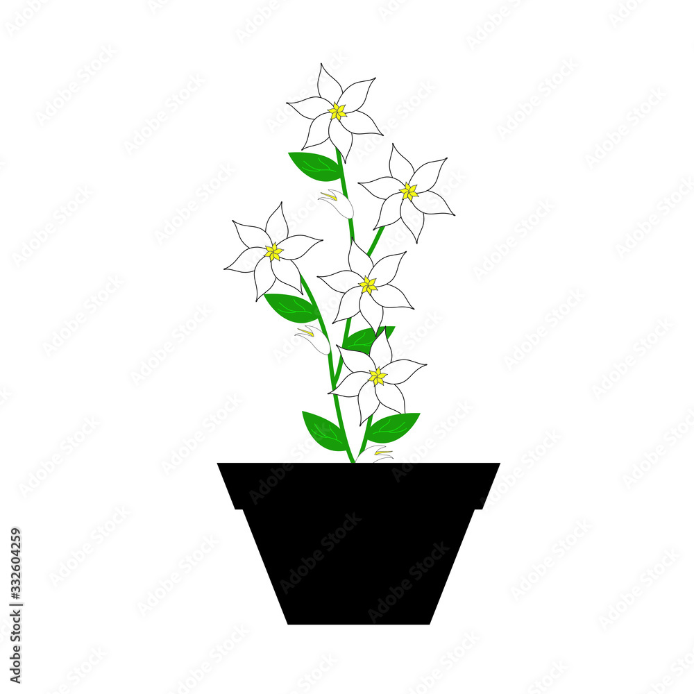 floral illustration pattern floral illustration pattern