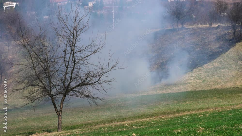 Cleaning field and burning trash and dry grass in spring - (4K) Cleaning field and burning trash and dry grass in spring - (4K)