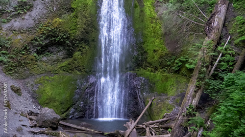 base of marymere falls in the olympic national park
