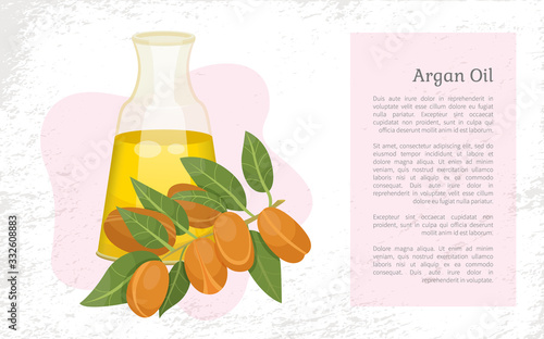 Glass bottle contains golden liquid inside. Branch with brown nuts of argania. Text, information about argan oil in vessel. Product used in beauty industry like for hair care. Vector illustration