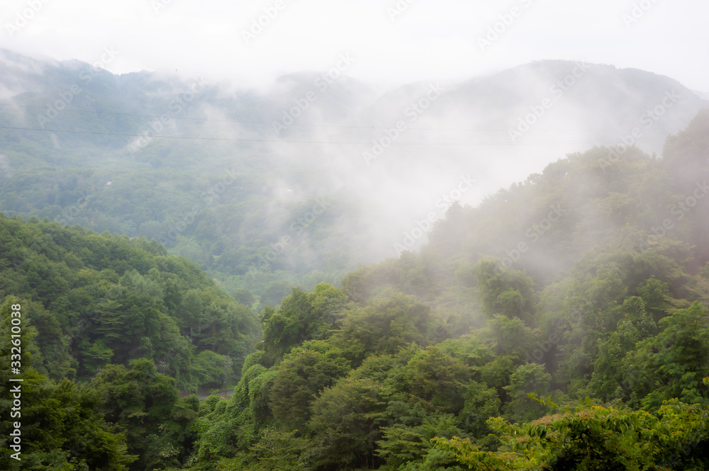 fog in the mountains