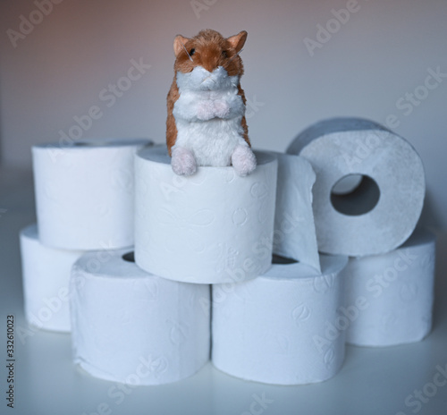 Hamsterkäufe mit Toilettenpapier photo