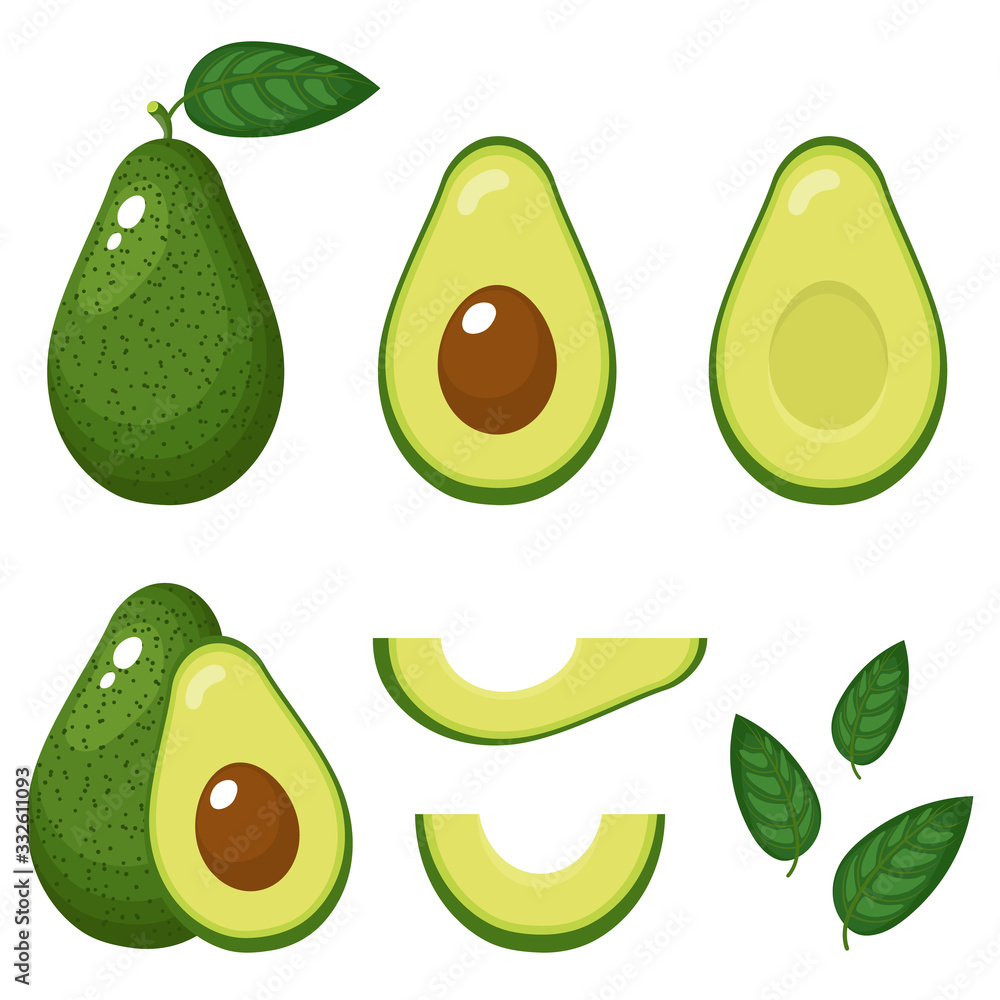 Set of fresh whole, half, cut slice and leaves avocado isolated on white background. Summer fruits for healthy lifestyle. Organic fruit. Cartoon style. Vector illustration for any design. Set of fresh whole, half, cut slice and leaves avocado isolated on white background. Summer fruits for healthy lifestyle. Organic fruit. Cartoon style. Vector illustration for any design.