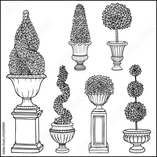 Topiary tree antique vase garden