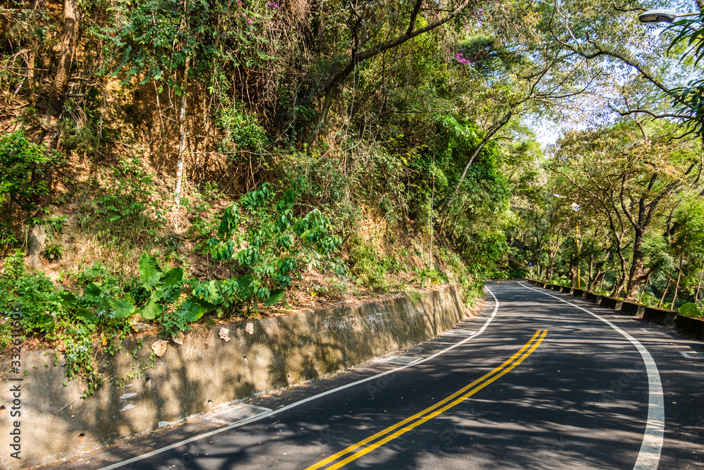 Naklejka premium curval road under the tree