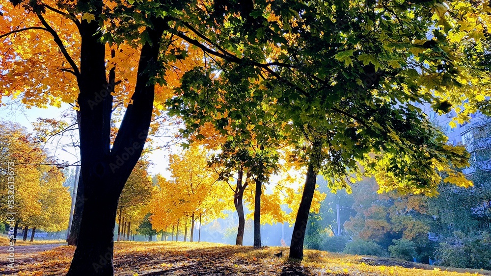 Autumn Autumn