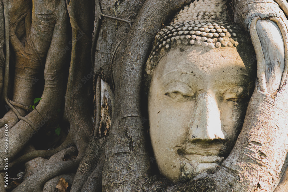 Buddha head in tree roots at Wat Mahathat temple Buddha head in tree roots at Wat Mahathat temple
