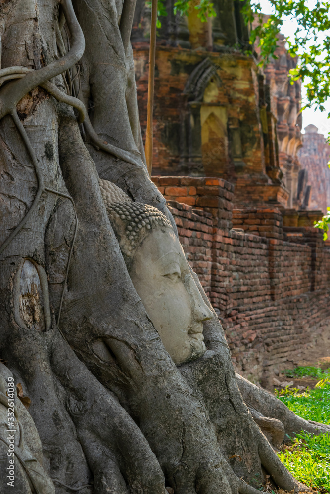 Buddha head in tree roots at Wat Mahathat temple