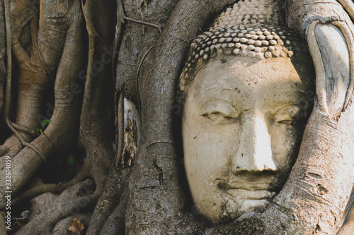 Buddha head in tree roots at Wat Mahathat temple © Rytis