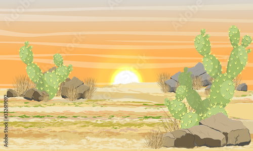 Desert with sand, stones and large green cacti Opuntia at sunset. Realistic vector landscape