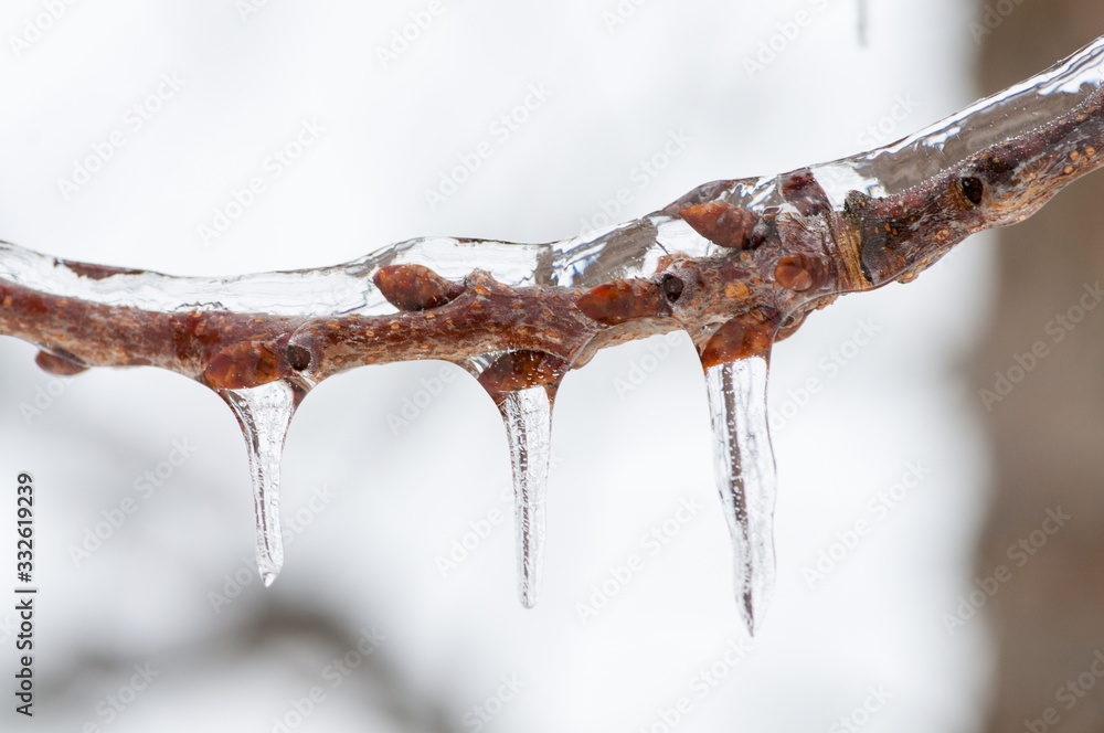 Eisregen Eisregen