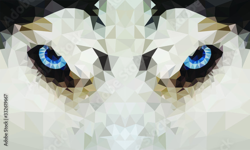 Polygon of blue husky eyes. Low poly Concept