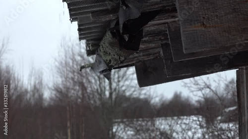 rainy rain down from the old slate corner roof wooden house at autumn