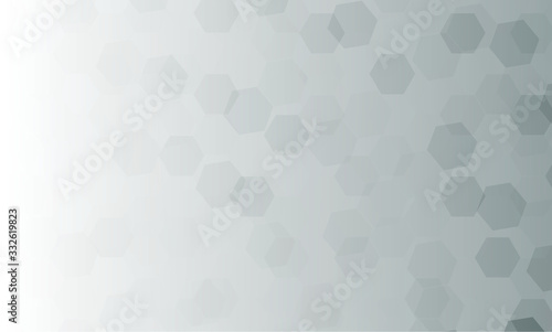 Vector of white and grey hexagon abstract background.