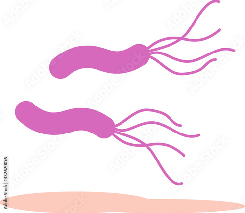 ピロリ菌　イメージイラスト