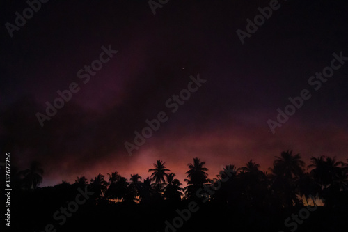 Smoke from a bonfire in a rainforest at sunset. Fires in the forest. Smoke on the background of palm trees at sunset