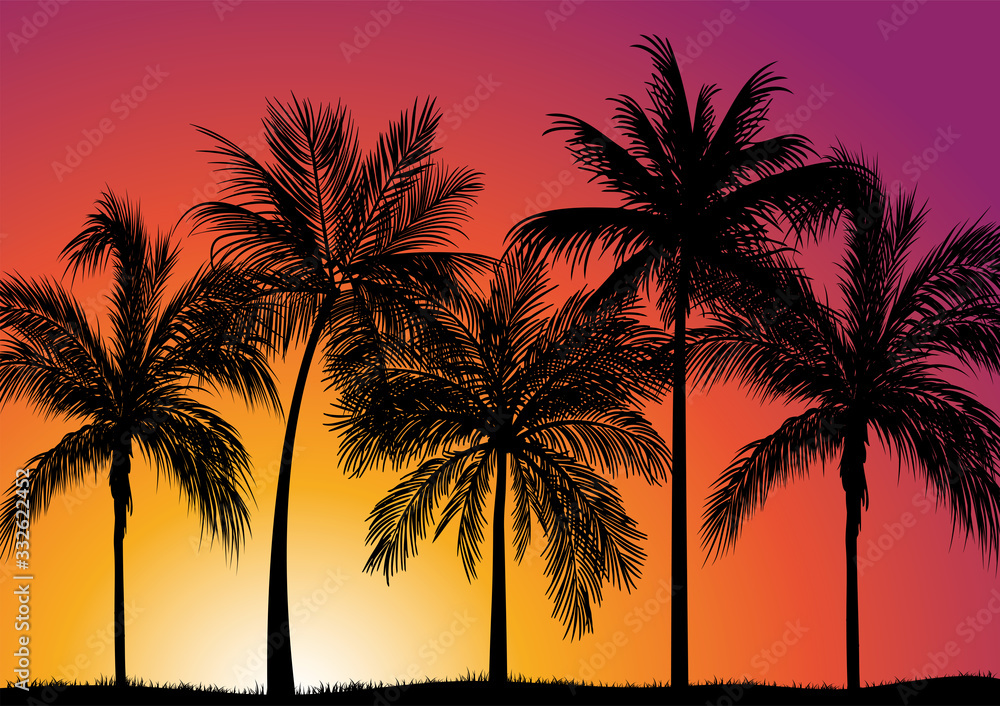 Palms Sunset Vector