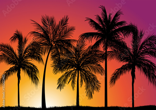 Palms Sunset Vector photo