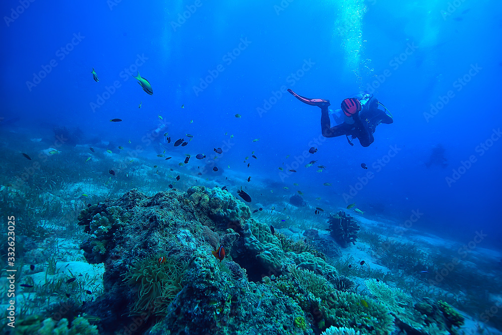 diver flippers view from the back underwater, underwater view of the back of a person swimming with scuba diving diver flippers view from the back underwater, underwater view of the back of a person swimming with scuba diving