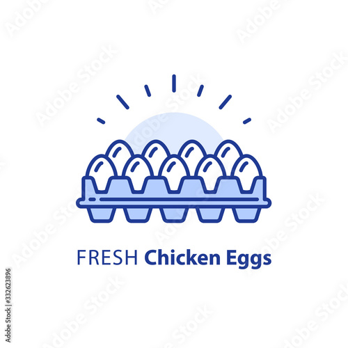 White chicken eggs in box, package of dozen