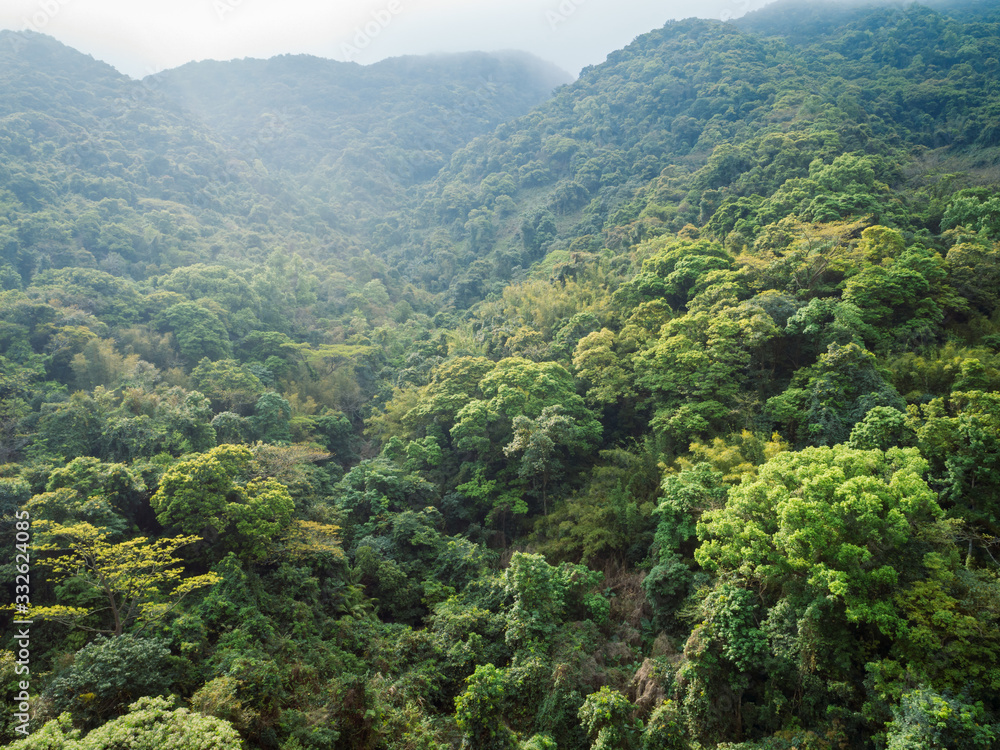 Aerial view of spring in tropical forest