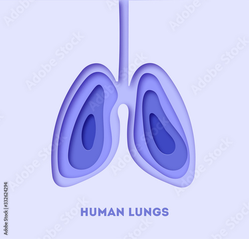 Vector illustration of lungs in paper art style