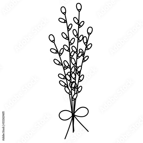 Three pussy willow twigs in doodle style. Great for Easter greeting cards, logo. Hand drawn vector illustration in black ink. Isolated outline.