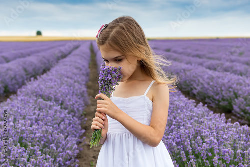 Portrait of a little girl in a fully bloomed lavender field, holding a bundle of lavender and enjoying its aroma